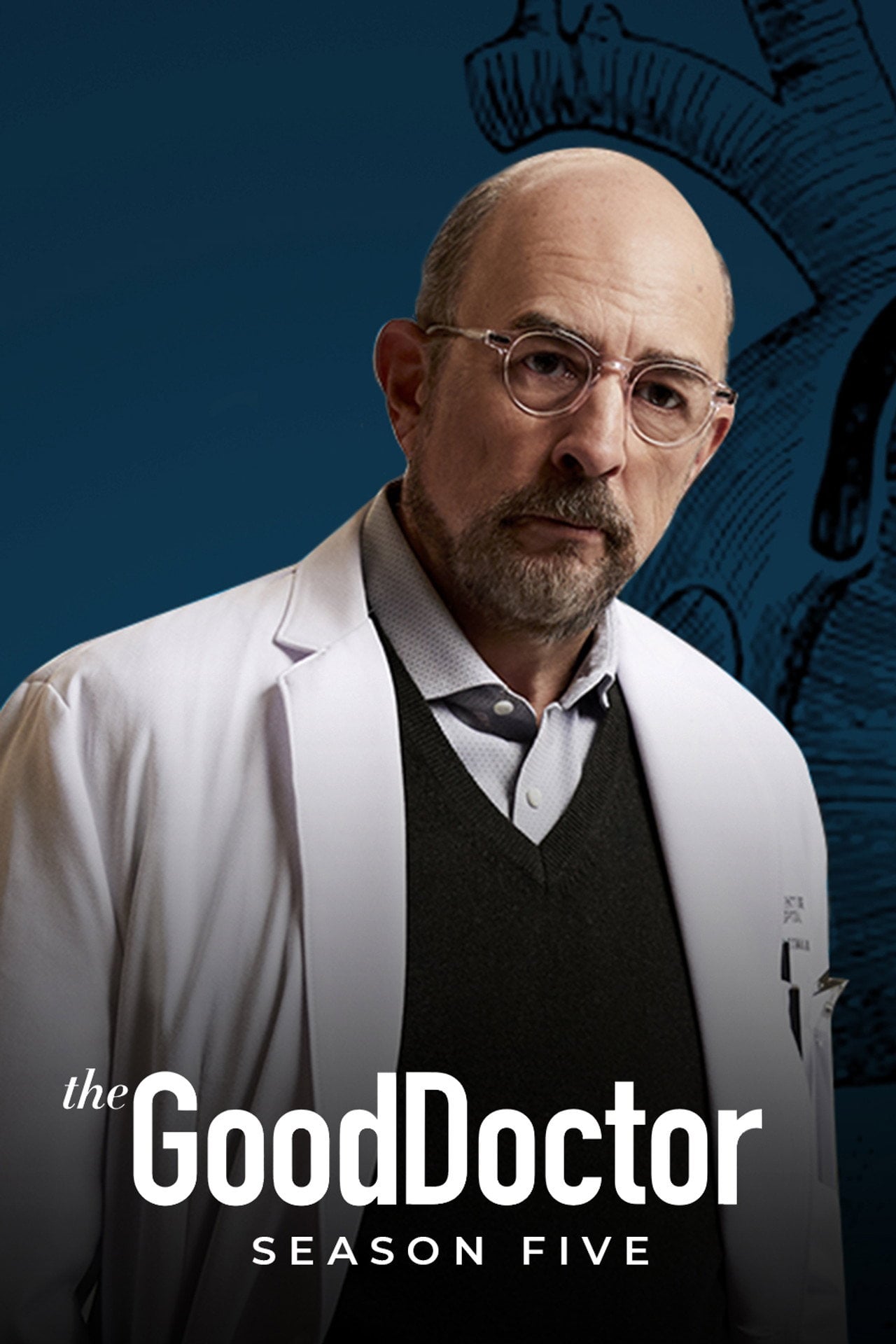 The Good Doctor | Vider - Sprawdź dostępne źródła