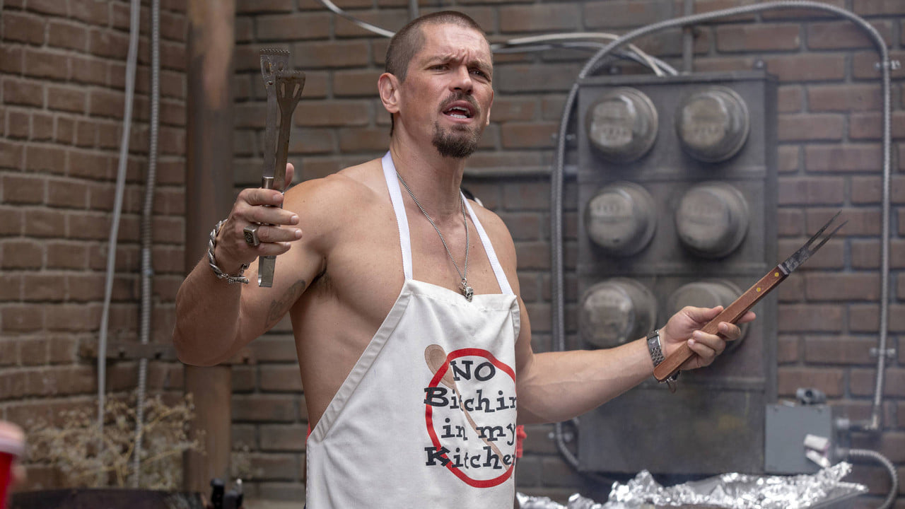 Shameless - Niepokorni {se_code} | Vider - Sprawdź dostępne źródła