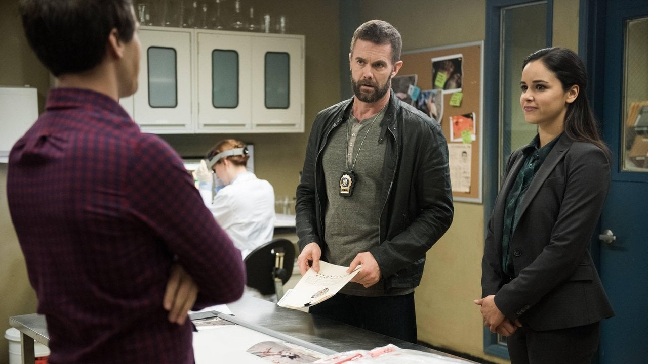 Brooklyn 9-9 {se_code} | Vider - Sprawdź dostępne źródła