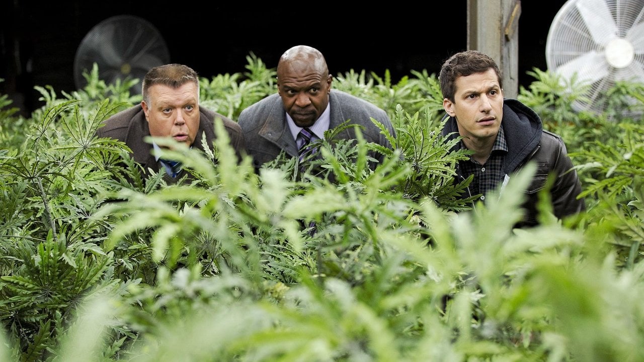 Brooklyn 9-9 {se_code} | Vider - Sprawdź dostępne źródła
