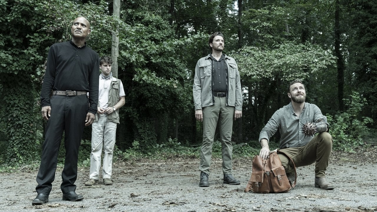The Walking Dead {se_code} | Vider - Sprawdź dostępne źródła