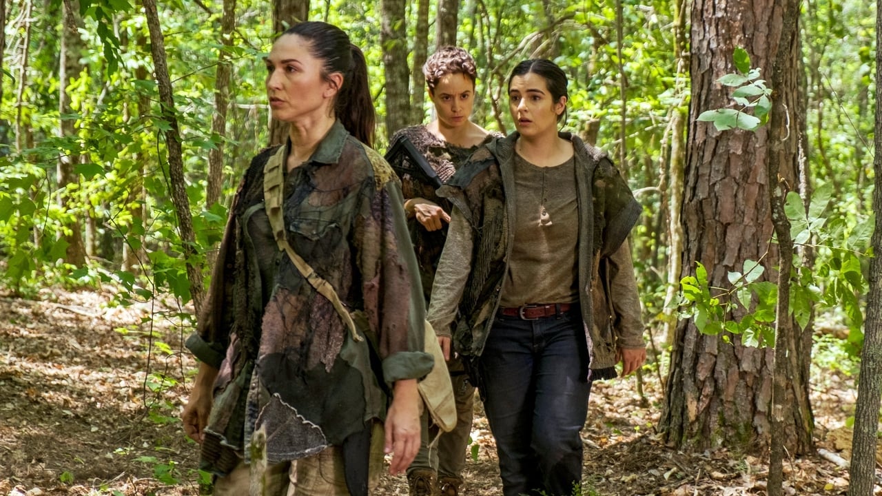 The Walking Dead {se_code} | Vider - Sprawdź dostępne źródła