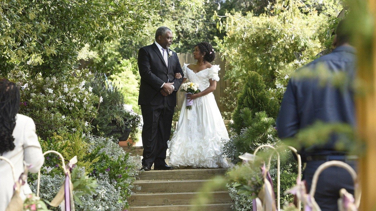 Chirurdzy {se_code} | Vider - Sprawdź dostępne źródła