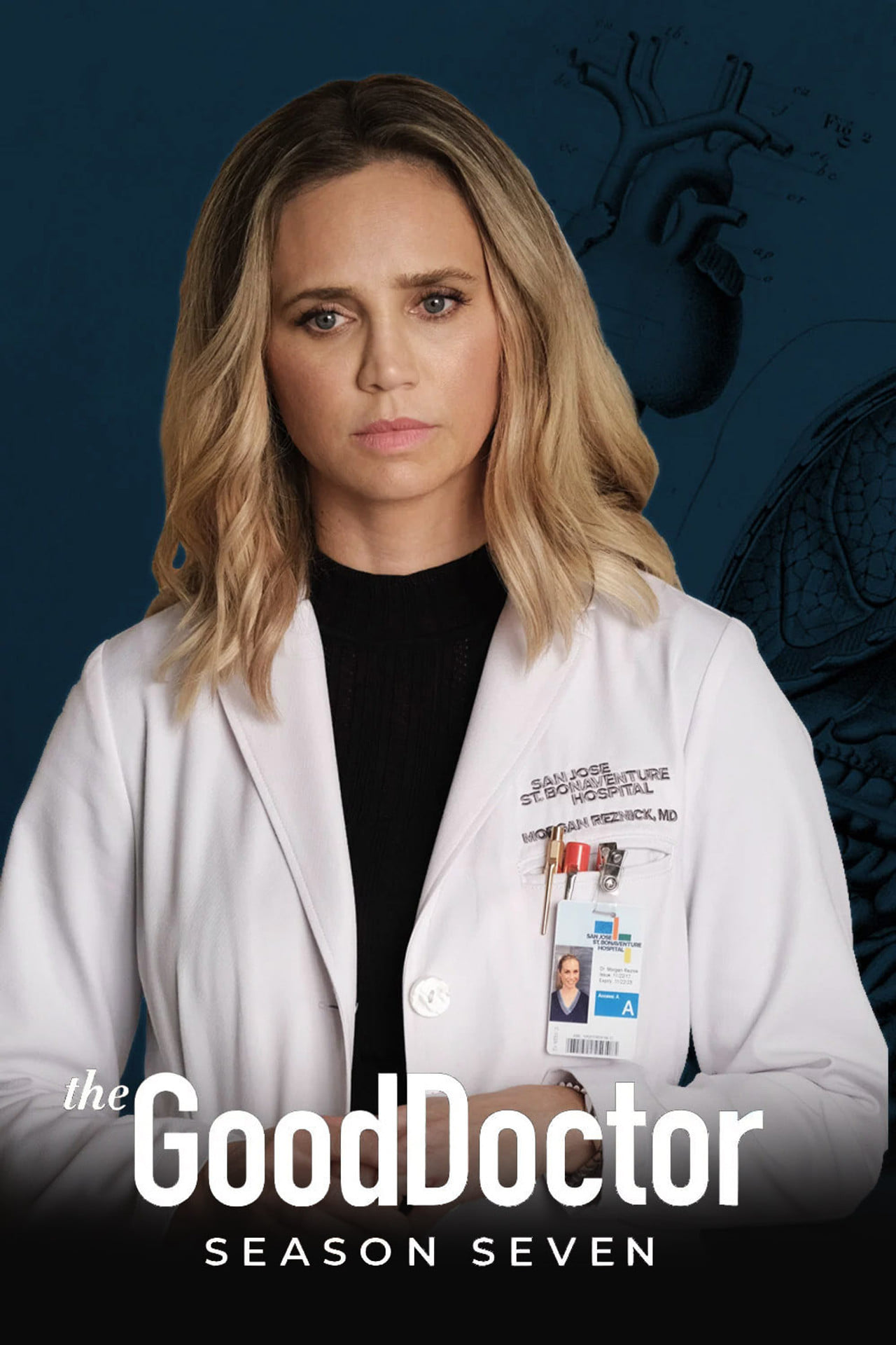 The Good Doctor | Vider - Sprawdź dostępne źródła