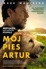 Mój pies Artur | Vider - Sprawdź dostępne źródła