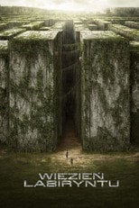 Więzień labiryntu | Vider - Sprawdź dostępne źródła