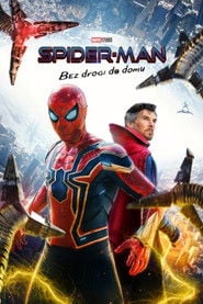 Spider-Man: Bez drogi do domu | Vider - Sprawdź dostępne źródła