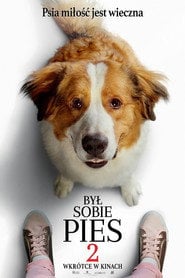 Był sobie pies 2 | Vider - Sprawdź dostępne źródła