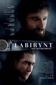 Labirynt | Vider - Sprawdź dostępne źródła