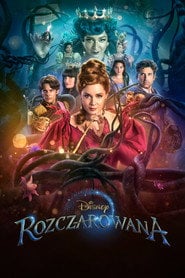 Rozczarowana | Vider - Sprawdź dostępne źródła