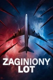 Zaginiony lot | Vider - Sprawdź dostępne źródła