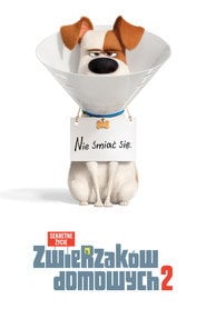 Sekretne życie zwierzaków domowych 2 | Vider - Sprawdź dostępne źródła