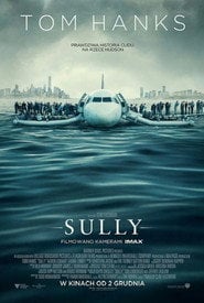 Sully | Vider - Sprawdź dostępne źródła