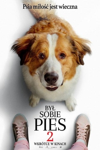 Był sobie pies 2 | Vider - Sprawdź dostępne źródła