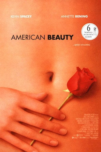 American Beauty | Vider - Sprawdź dostępne źródła