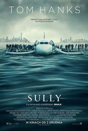 Sully | Vider - Sprawdź dostępne źródła