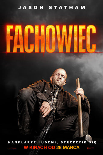 Fachowiec | Vider - Sprawdź dostępne źródła