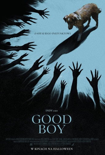 Good boy | Vider - Sprawdź dostępne źródła
