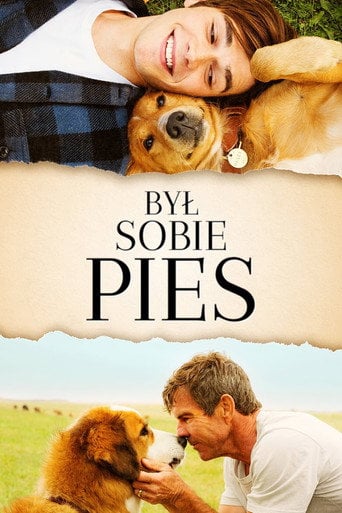 Był Sobie Pies | Vider - Sprawdź dostępne źródła