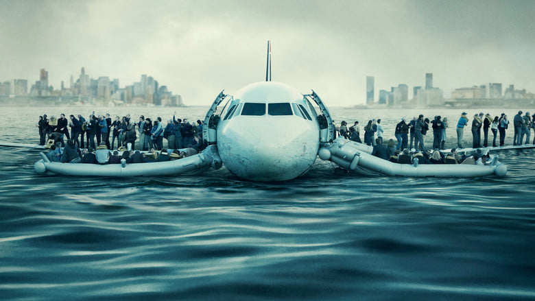 Sully | Vider - Sprawdź dostępne źródła